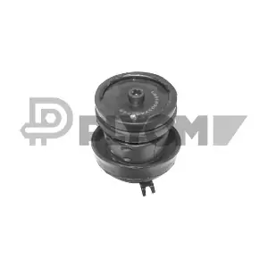 P010470 PLYOM