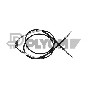 P762029 PLYOM