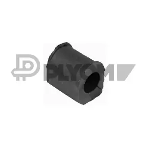 P020197 PLYOM