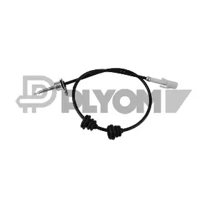 P762953 PLYOM