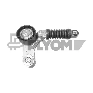 P020945 PLYOM