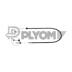 PLYOM P028334