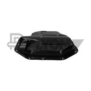 P021384 PLYOM