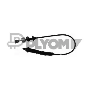 P038452 PLYOM