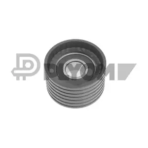P769854 PLYOM