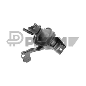 P770973 PLYOM
