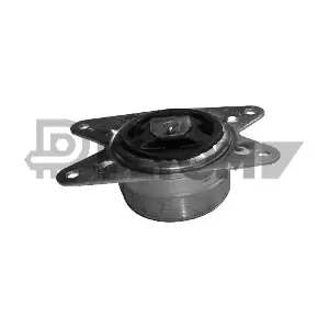 P480483 PLYOM