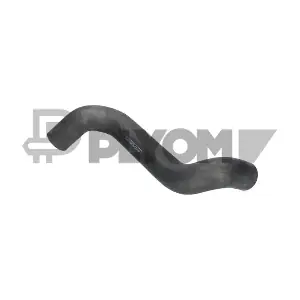 P486497 PLYOM