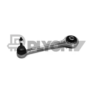 P750248 PLYOM