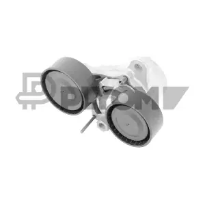 P769710 PLYOM