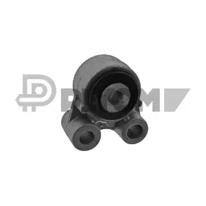 P759677 PLYOM