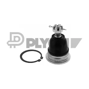 P774263 PLYOM