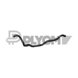 773701 PLYOM