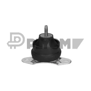 P010499 PLYOM