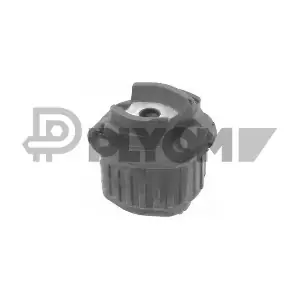 P755703 PLYOM