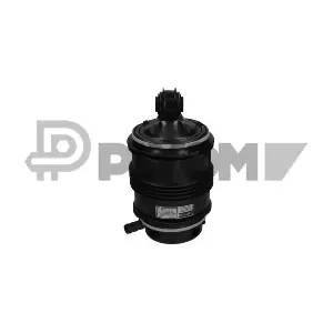 P753111 PLYOM