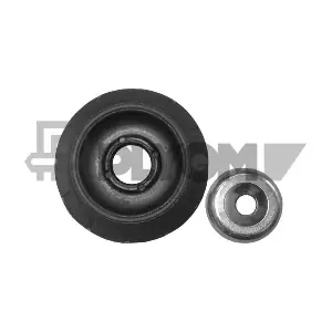 PLYOM P755794