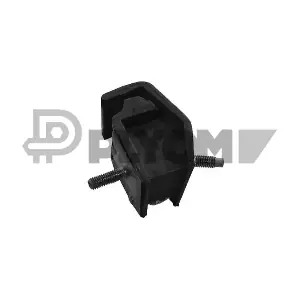 P020410 PLYOM
