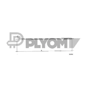 P763065 PLYOM