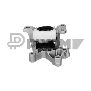 770450 PLYOM