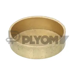 P950110 PLYOM
