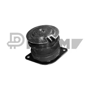P460155 PLYOM
