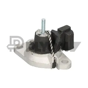 P020484 PLYOM