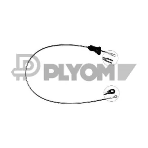 P762877 PLYOM