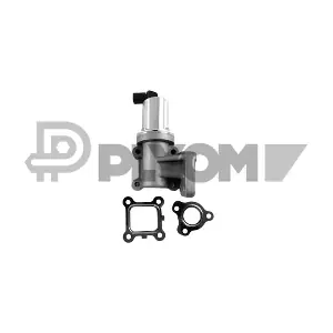 772081 PLYOM
