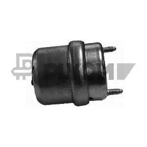 P461039 PLYOM