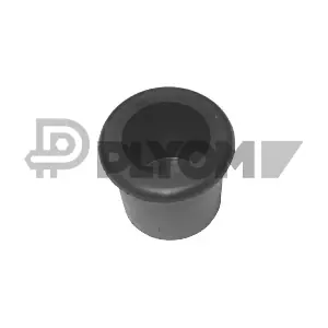 PLYOM P900309