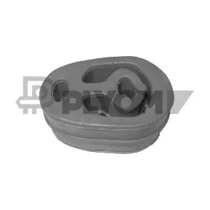 P080604 PLYOM