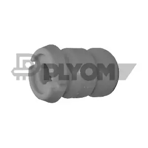 PLYOM P031256