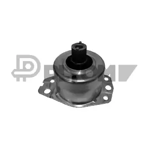 P756099 PLYOM