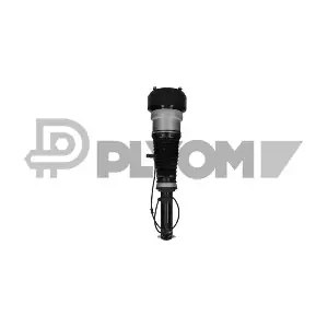 P751962 PLYOM