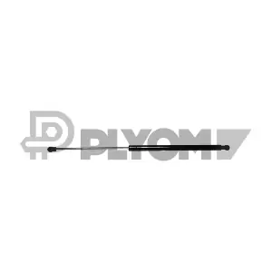 773128 PLYOM