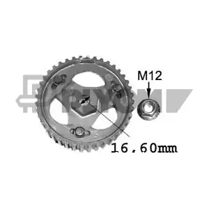 P021516 PLYOM