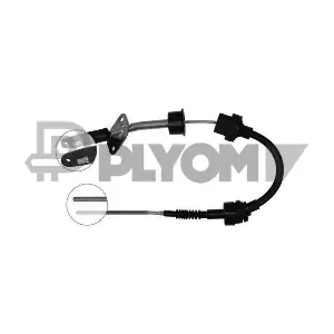 P019021 PLYOM