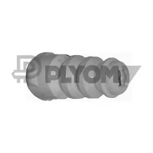 PLYOM P462456