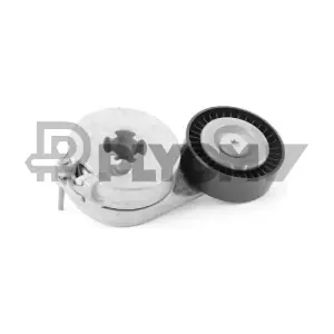 PLYOM P770286