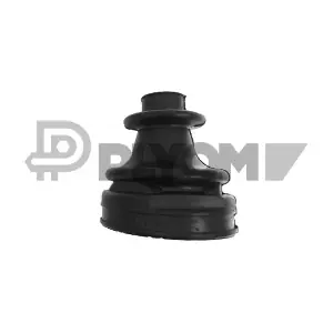 P080707 PLYOM