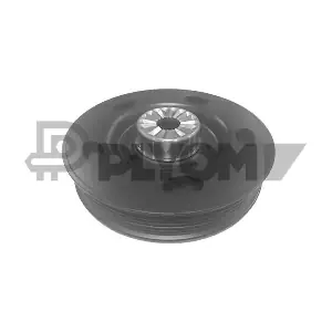 P755580 PLYOM
