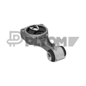 PLYOM P021395