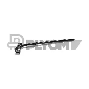 P750989 PLYOM