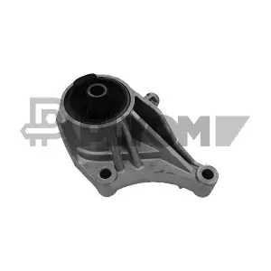 P755967 PLYOM