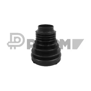 P751431 PLYOM