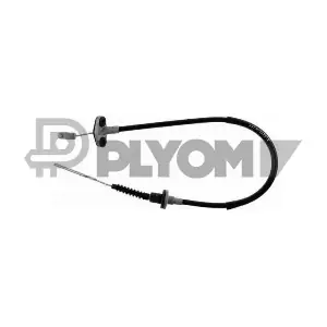 P708073 PLYOM