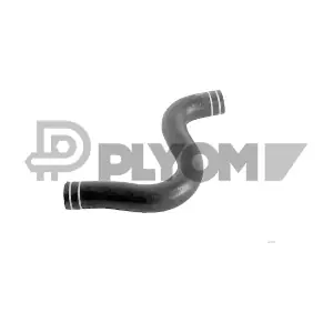 P754317 PLYOM