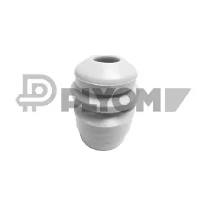 P461221 PLYOM
