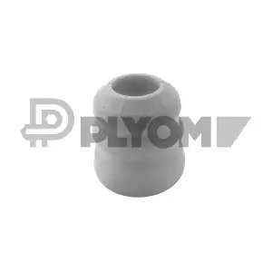 770841 PLYOM